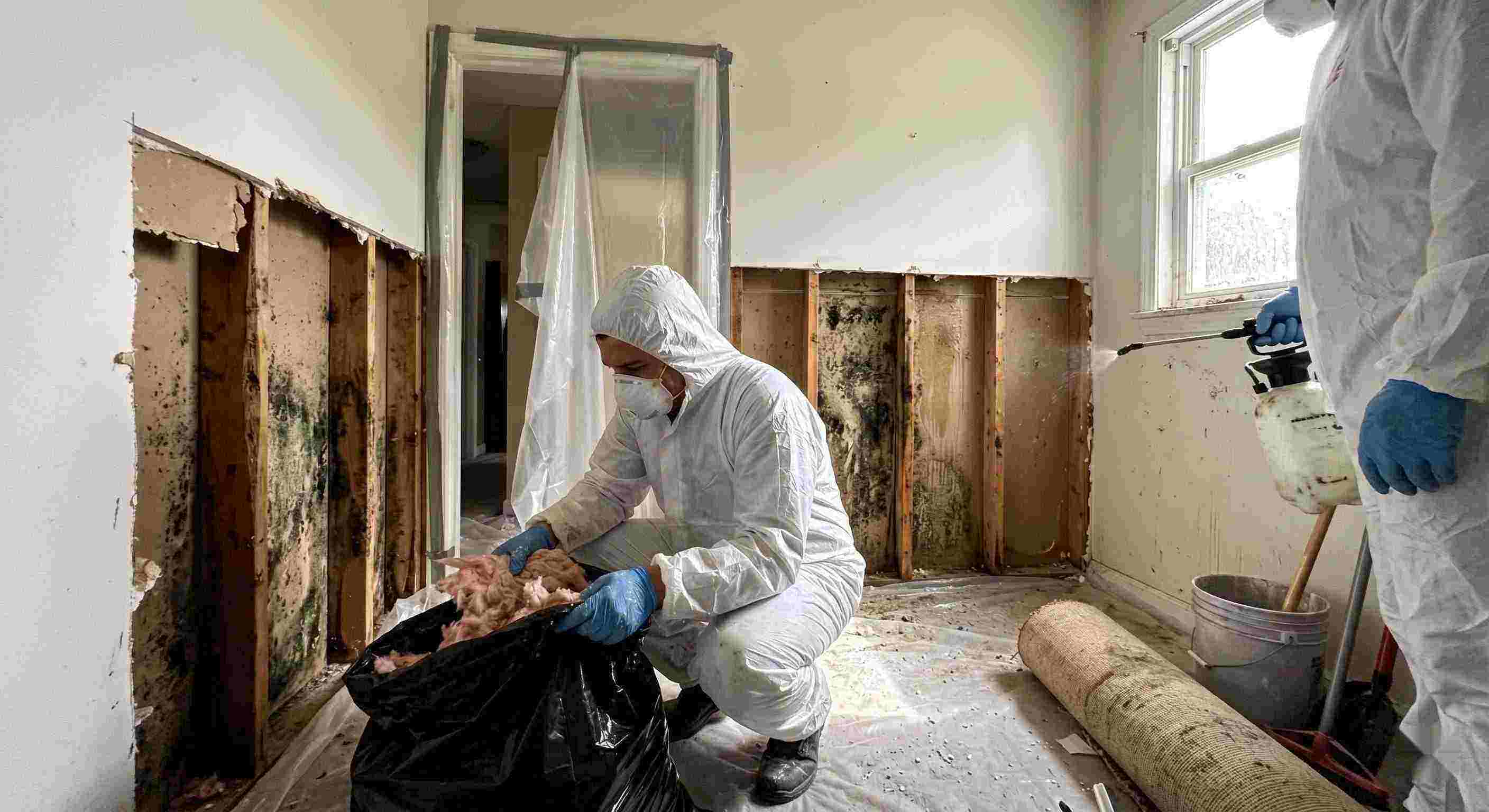 Best mold remediation services removing mold behind wall in home in Layton